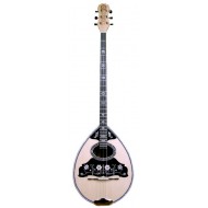 B109 Maple