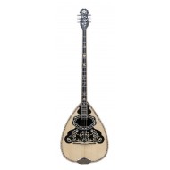 B67 Walnut